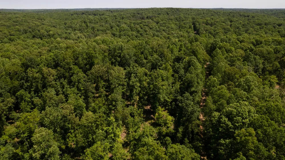 0 Oak Hill Lyles, TN 37098