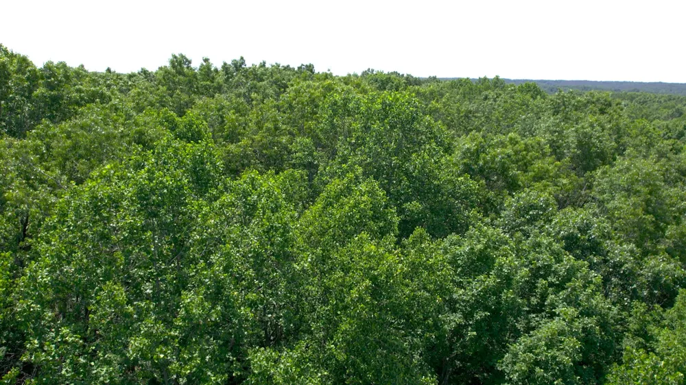 0 Oak Hill Lyles, TN 37098