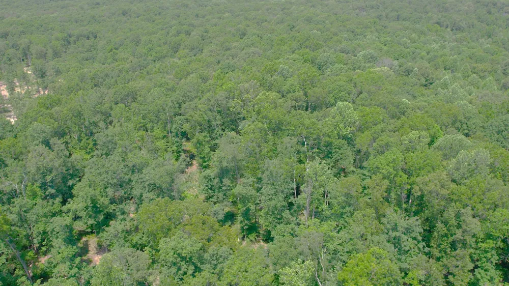 0 Oak Hill Lyles, TN 37098