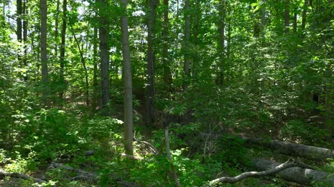 0 Oak Hill