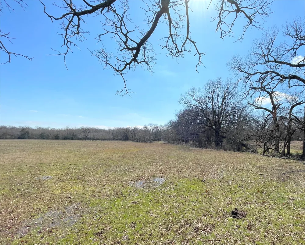 Killian Drive Quinlan, TX 75474