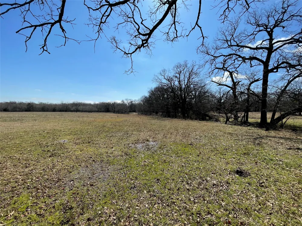 Killian Drive Quinlan, TX 75474
