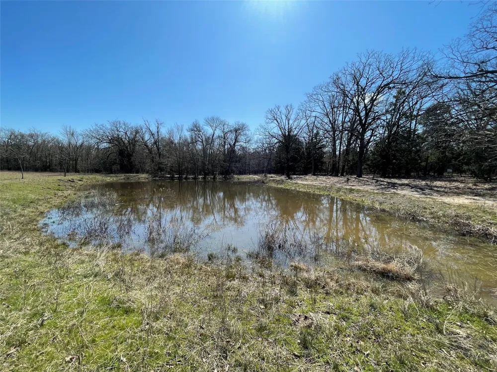 Killian Drive Quinlan, TX 75474