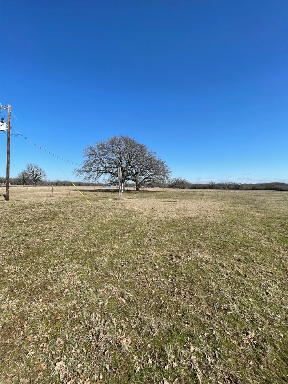 Killian Drive Quinlan, TX 75474