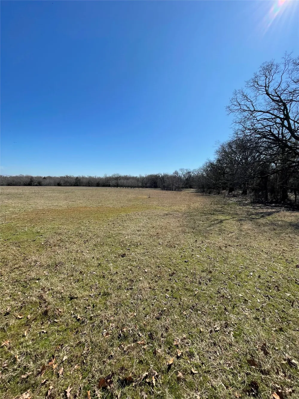 Killian Drive Quinlan, TX 75474