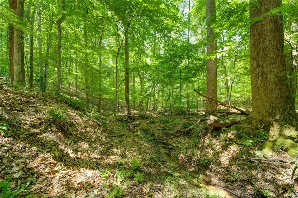 1981 Mountain Road Alpharetta, GA 30004