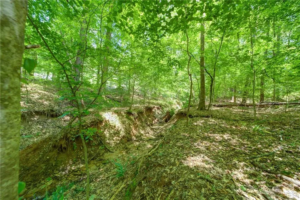 1981 Mountain Road Alpharetta, GA 30004