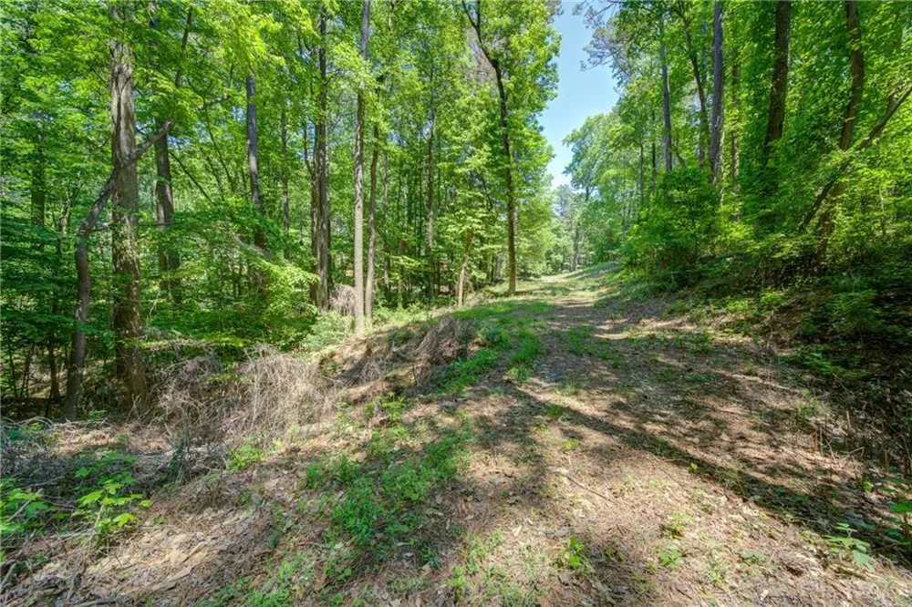1981 Mountain Road Alpharetta, GA 30004