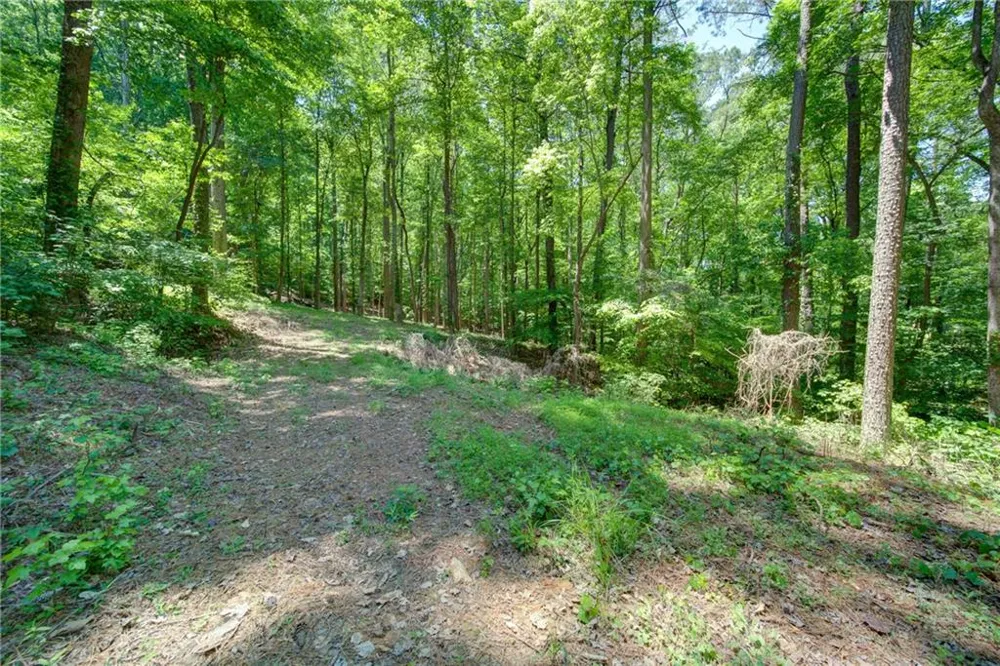 1981 Mountain Road Alpharetta, GA 30004