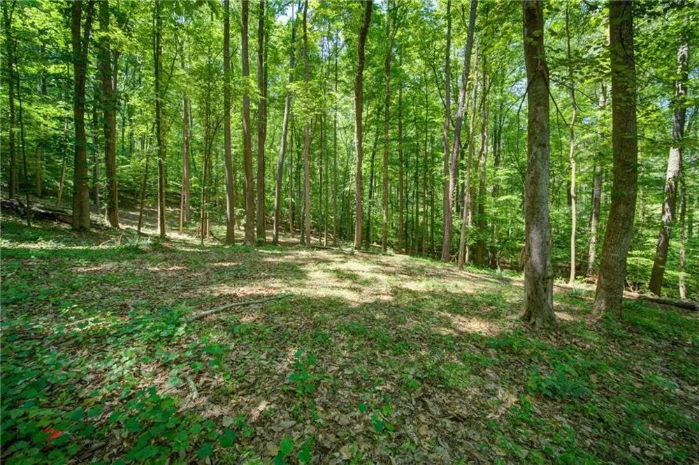 1981 Mountain Road Alpharetta, GA 30004