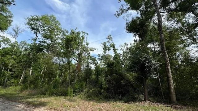 SW BUMBLE STREET Fort White, FL 32038