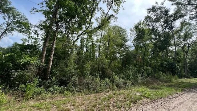 SW BUMBLE STREET Fort White, FL 32038