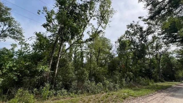 SW BUMBLE STREET Fort White, FL 32038