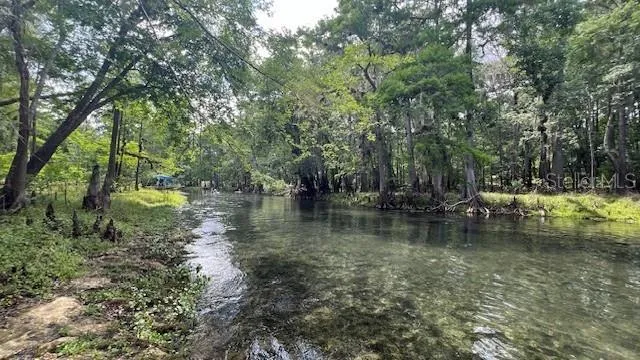 SW BUMBLE STREET Fort White, FL 32038