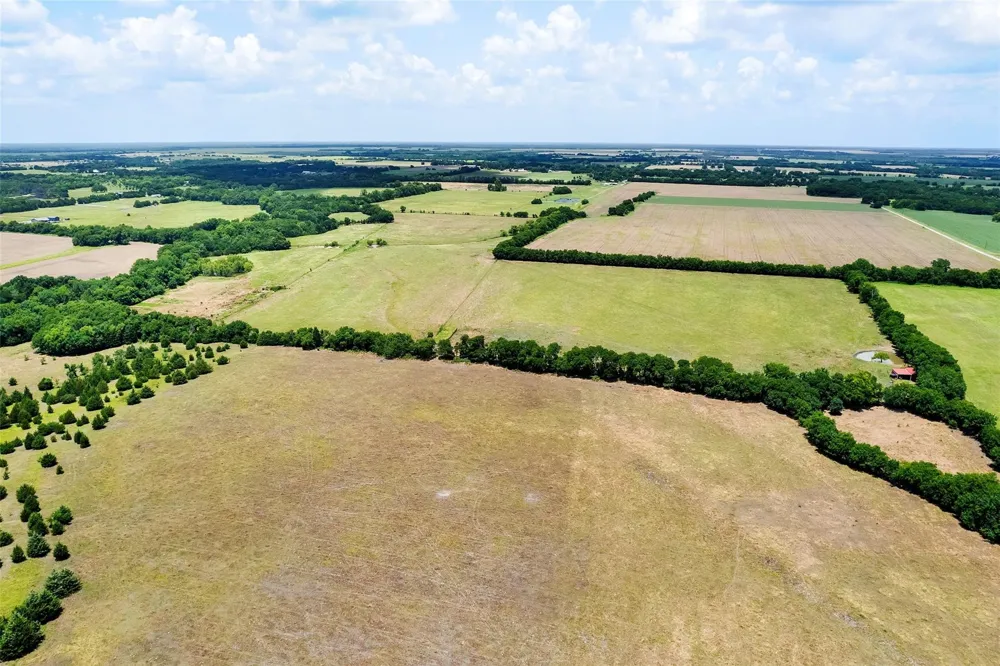 CR 3735 Wolfe City, TX 75496