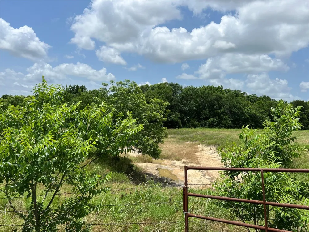 CR 3735 Wolfe City, TX 75496