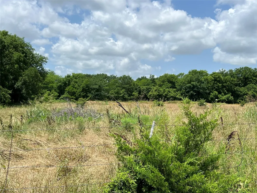 CR 3735 Wolfe City, TX 75496