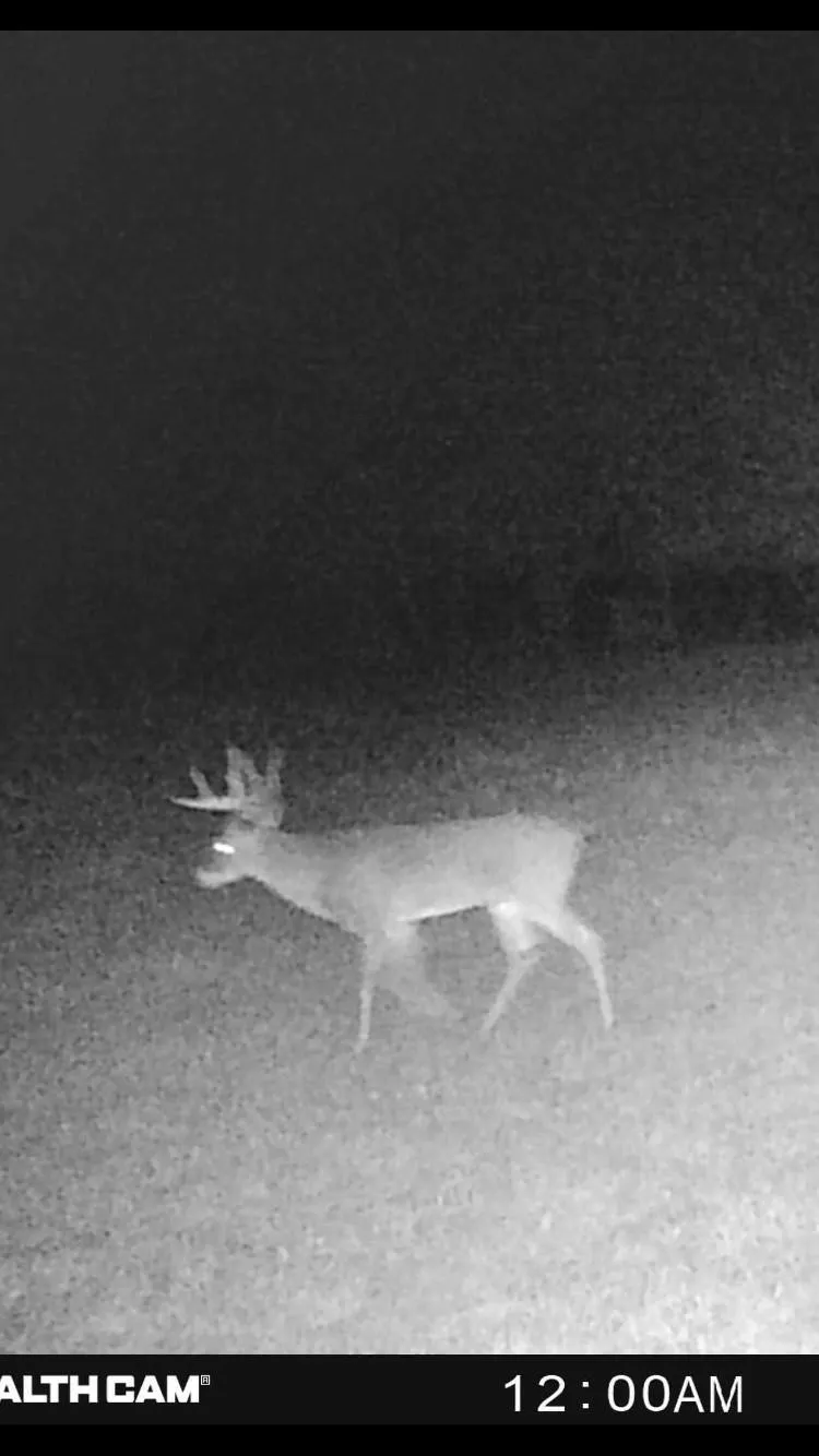 CR 3735 Wolfe City, TX 75496