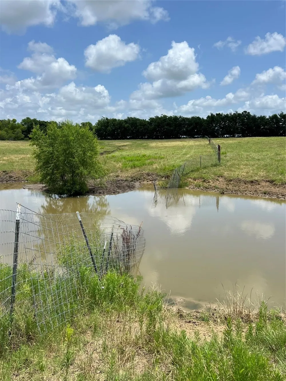 CR 3735 Wolfe City, TX 75496