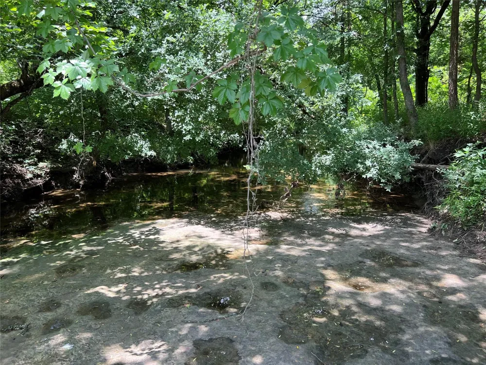 CR 3735 Wolfe City, TX 75496