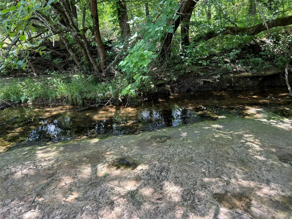 CR 3735 Wolfe City, TX 75496