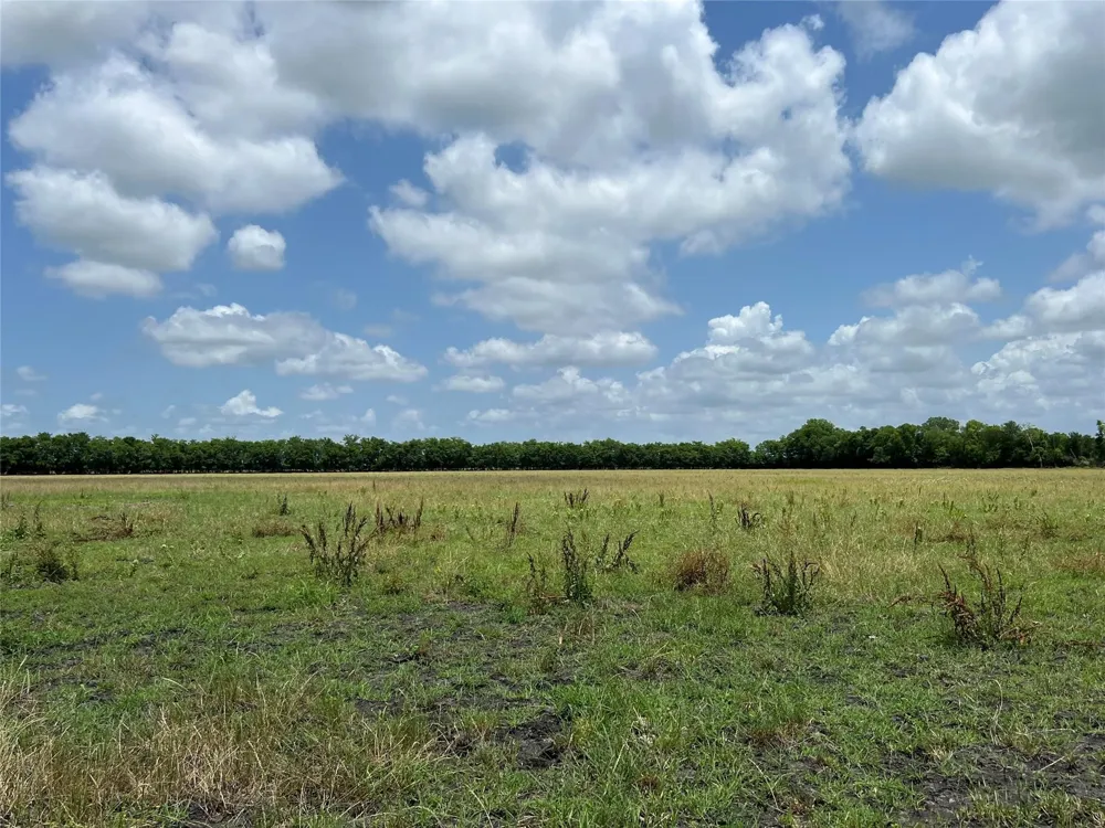 CR 3735 Wolfe City, TX 75496