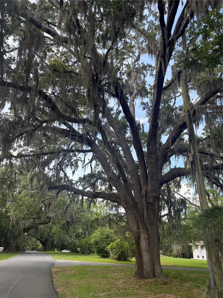 MILDRED AVENUE Brooksville, FL 34601