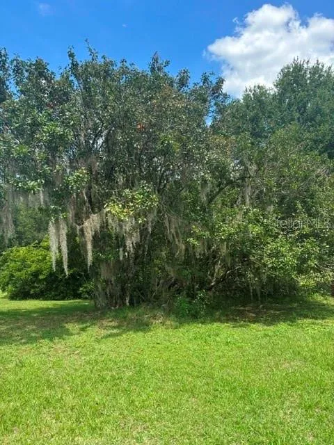 MILDRED AVENUE Brooksville, FL 34601