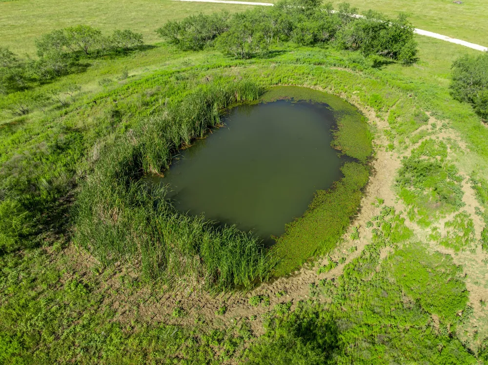 1227 Alexander Road Moody, TX 76557
