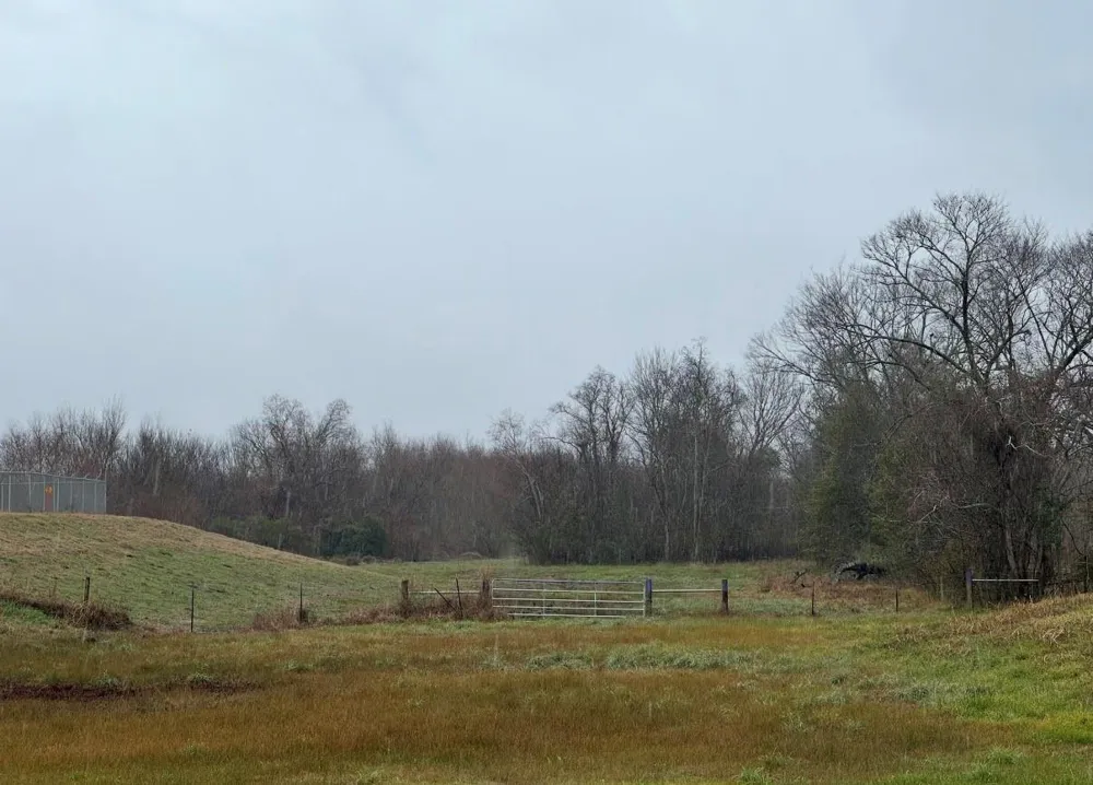 County Road 609 Angleton, TX 77515