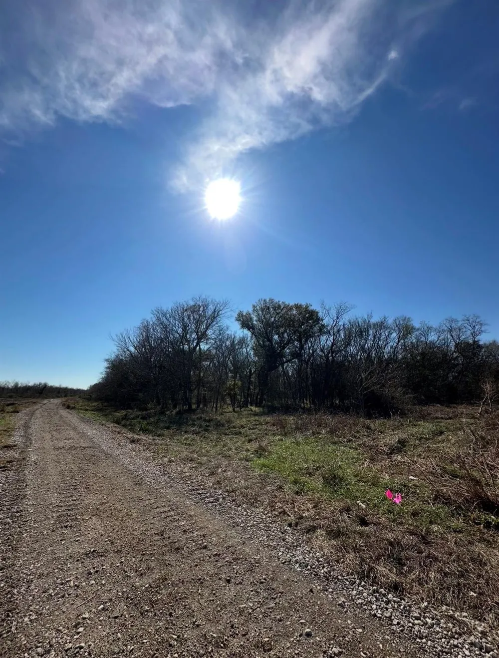 County Road 609 Angleton, TX 77515