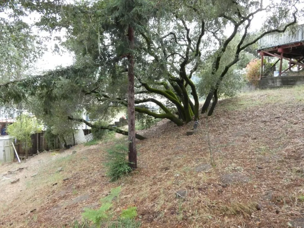 552 Bean Creek Road #126 Scotts Valley, CA 95066