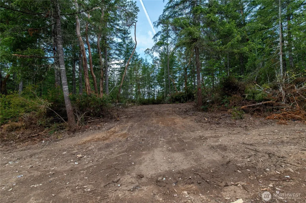 0 E Elaine Place Belfair, WA 98528