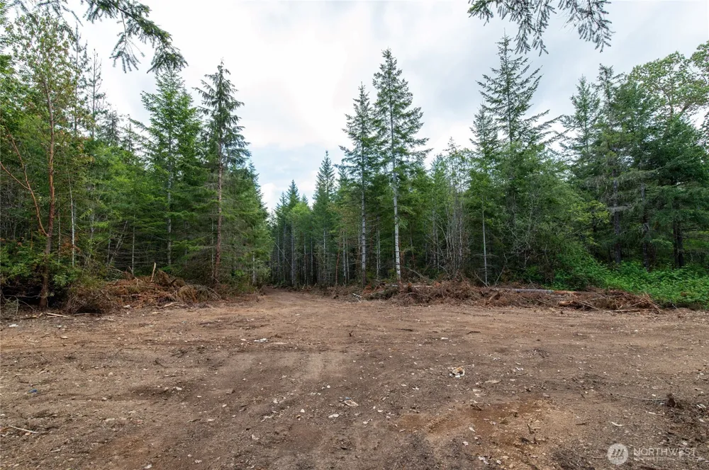 0 E Elaine Place Belfair, WA 98528