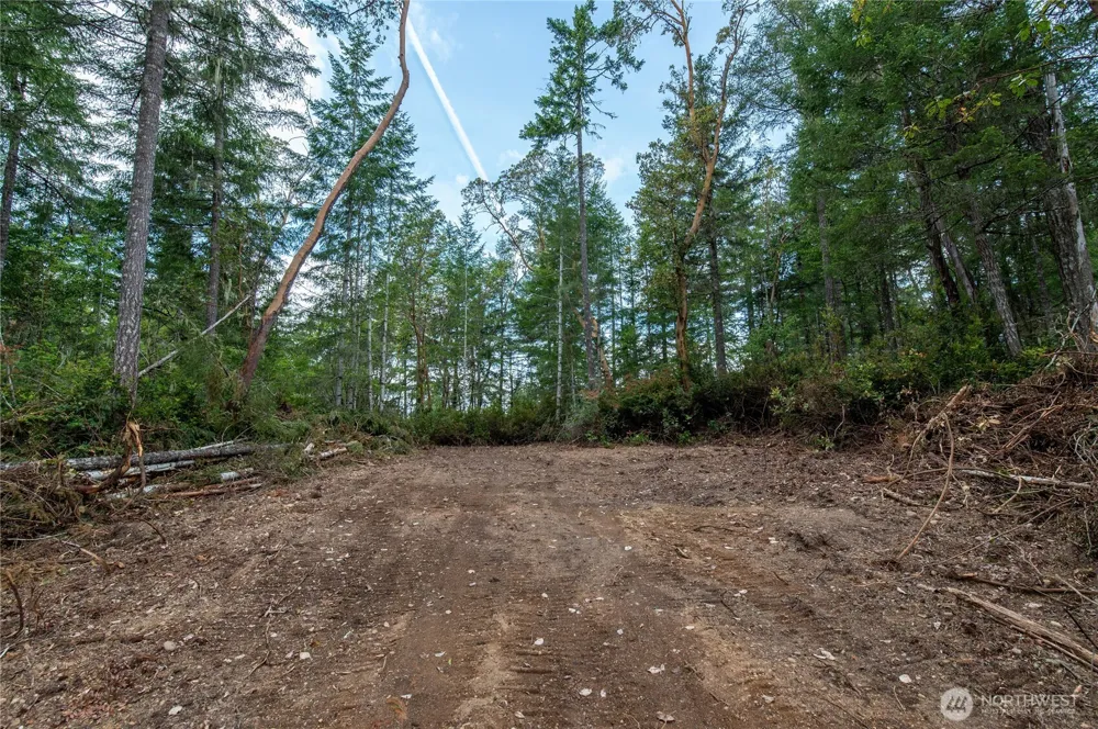 0 E Elaine Place Belfair, WA 98528