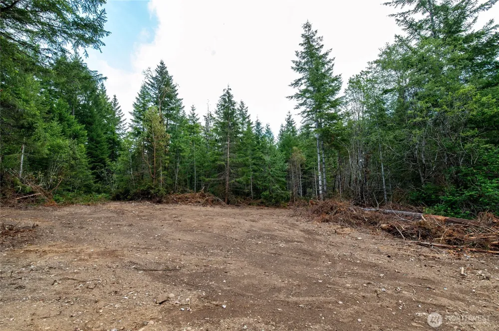 0 E Elaine Place Belfair, WA 98528