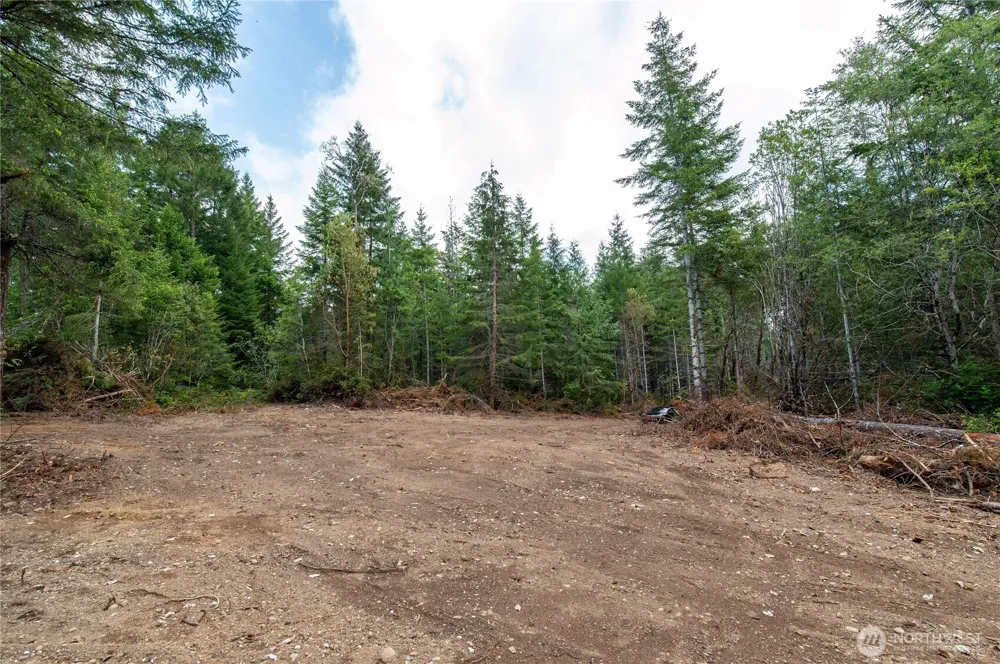 0 E Elaine Place Belfair, WA 98528