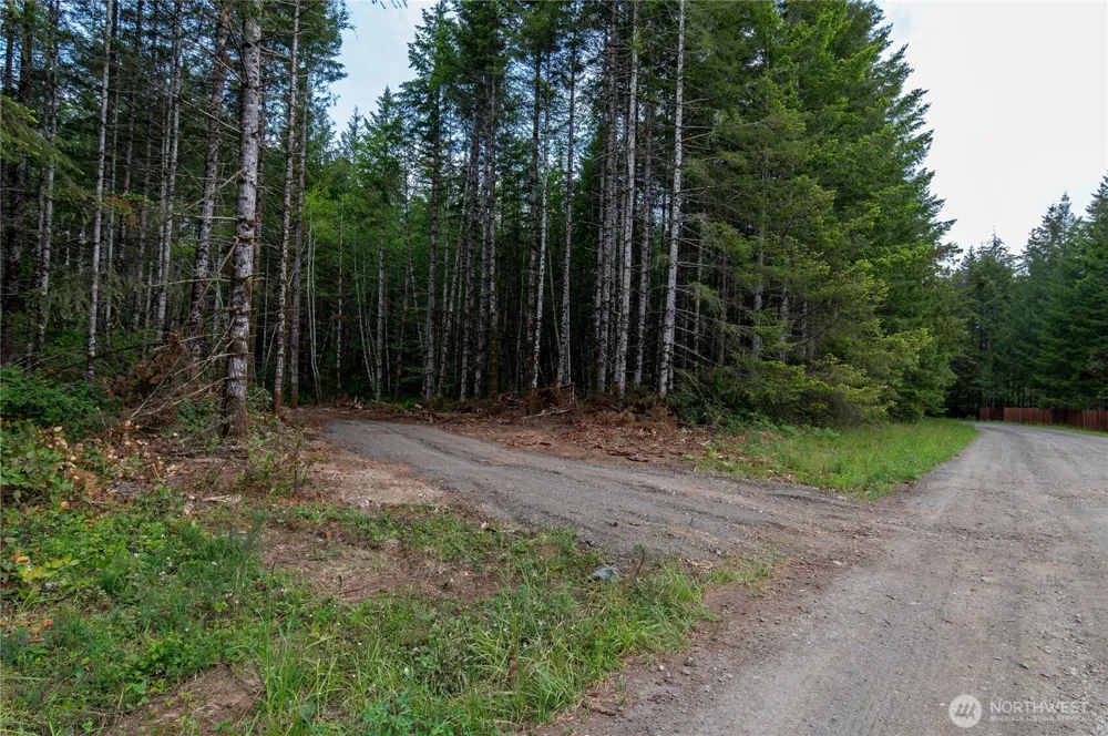 0 E Elaine Place Belfair, WA 98528