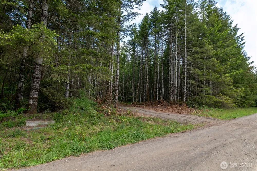 0 E Elaine Place Belfair, WA 98528