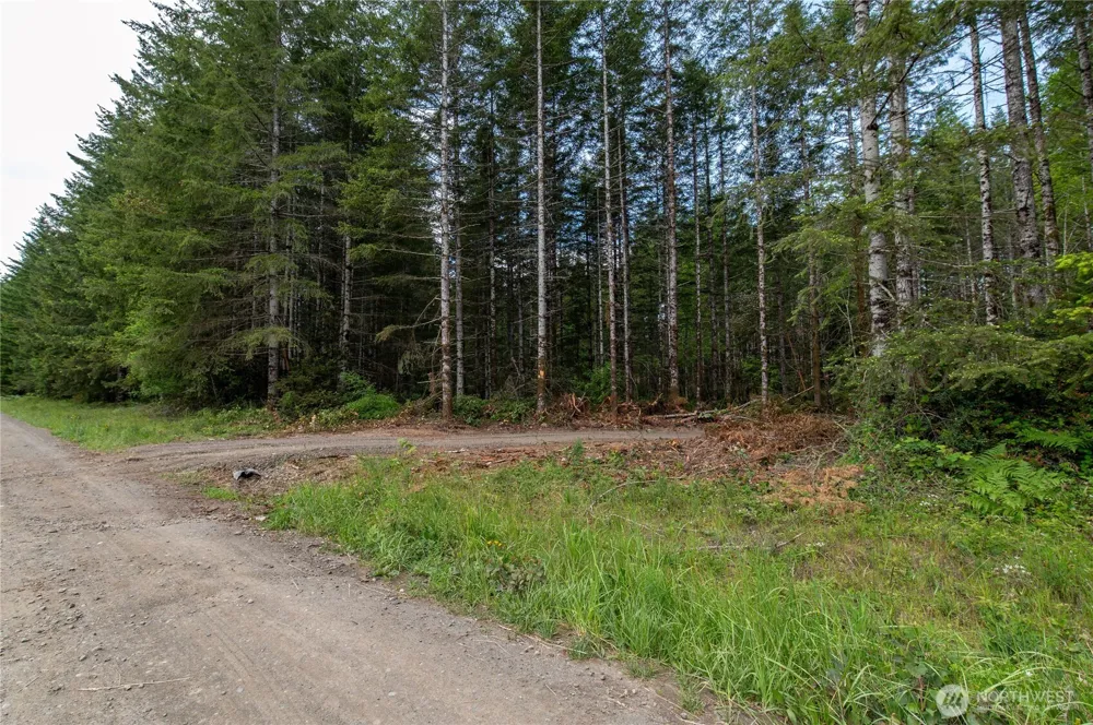 0 E Elaine Place Belfair, WA 98528
