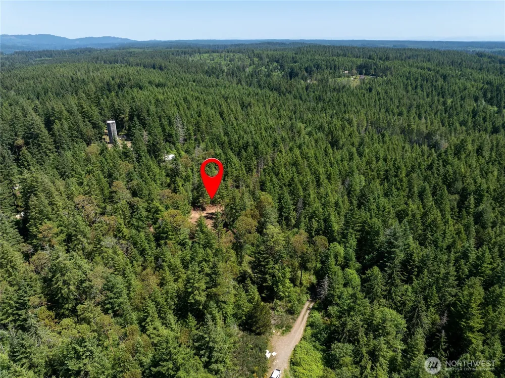 0 E Elaine Place Belfair, WA 98528