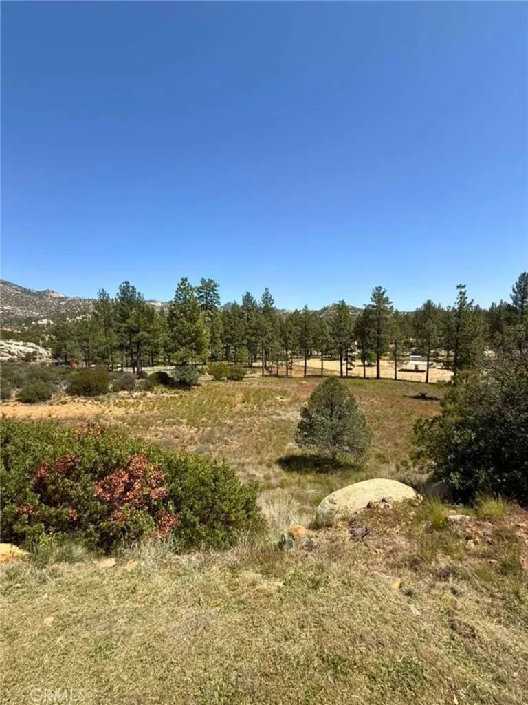 36350 Butterfly Peak Mountain Center, CA 92561