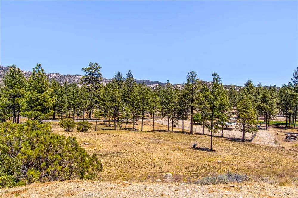 36350 Butterfly Peak Mountain Center, CA 92561