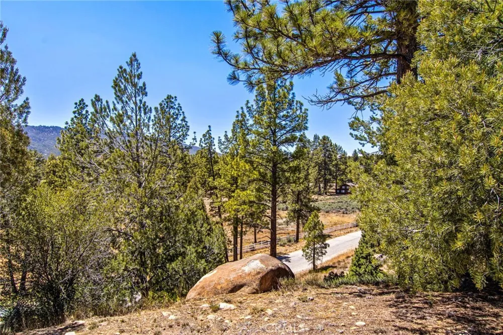 36350 Butterfly Peak Mountain Center, CA 92561