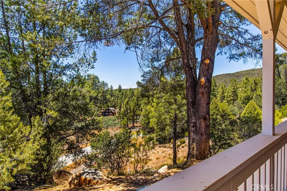 36350 Butterfly Peak Mountain Center, CA 92561
