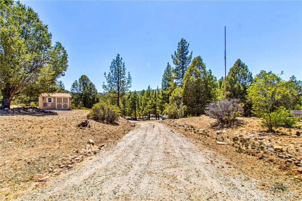 36350 Butterfly Peak Mountain Center, CA 92561