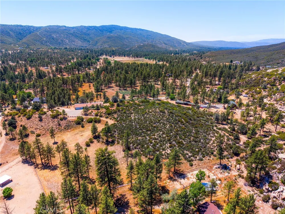 36350 Butterfly Peak Mountain Center, CA 92561