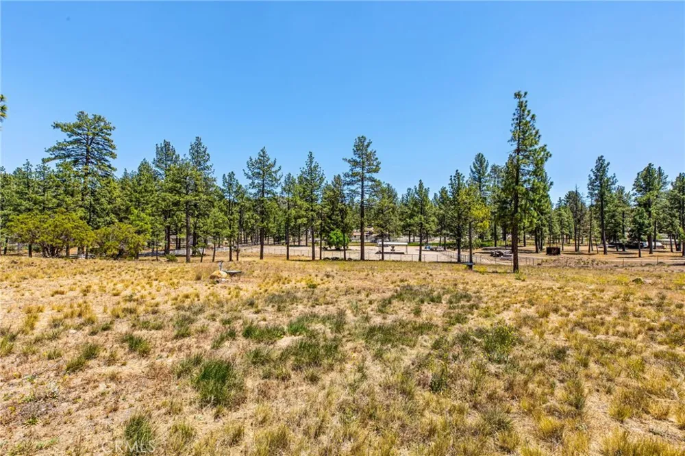 36350 Butterfly Peak Mountain Center, CA 92561