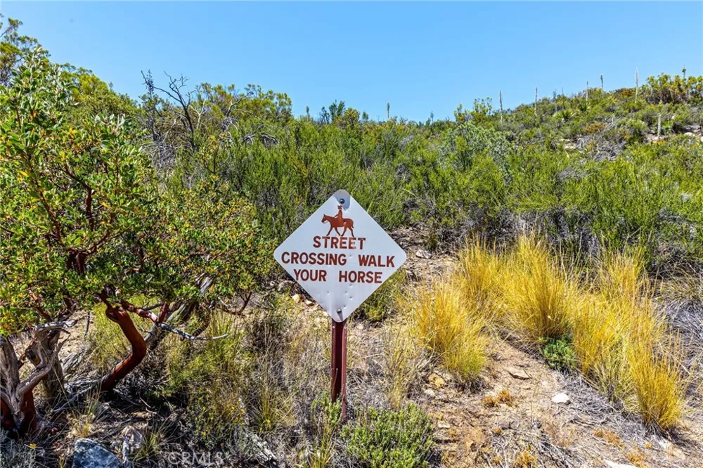 36350 Butterfly Peak Mountain Center, CA 92561
