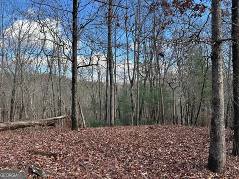 200 Mincey Acres DR
